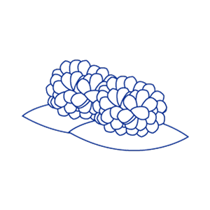 Lawn landscaping icon
