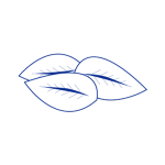 Leaf icon