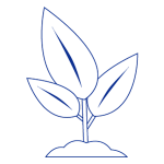 Tree seedling icon