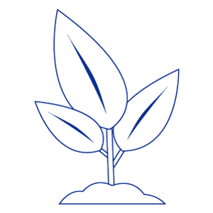 Tree seedling icon