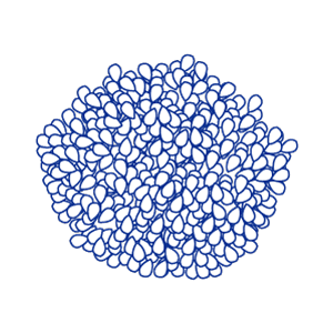 Shrub icon