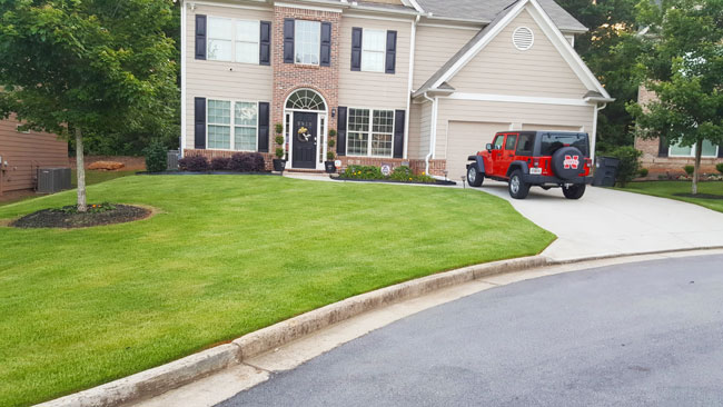 Residential manicured lawn