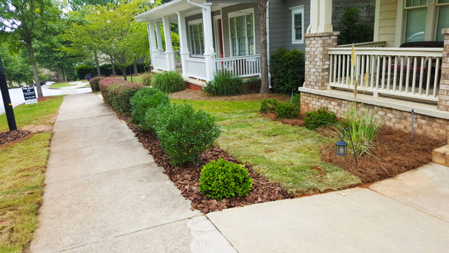 After residential sod installation