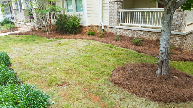 After residential sod installation