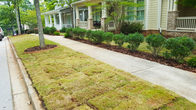 After sod installation