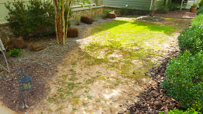 Before residential sod installation