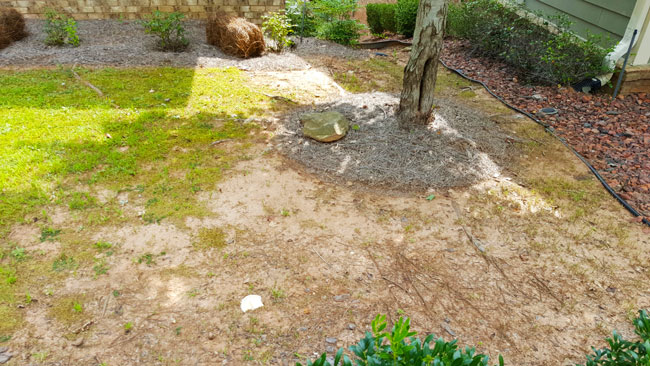 Before residential sod installation