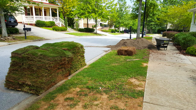 Before sod installation