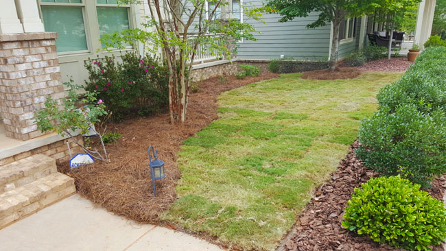 After residential sod installation